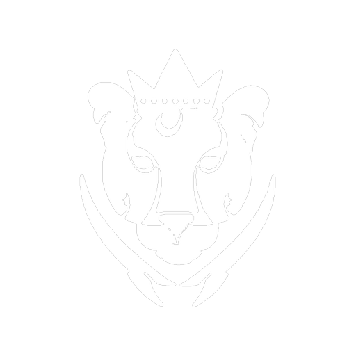Panther Store